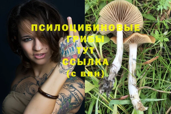 трава Арсеньев