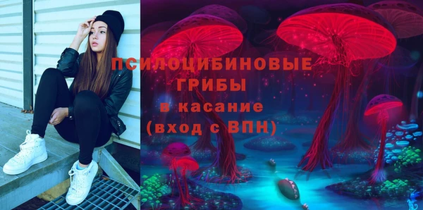 твердый Аркадак